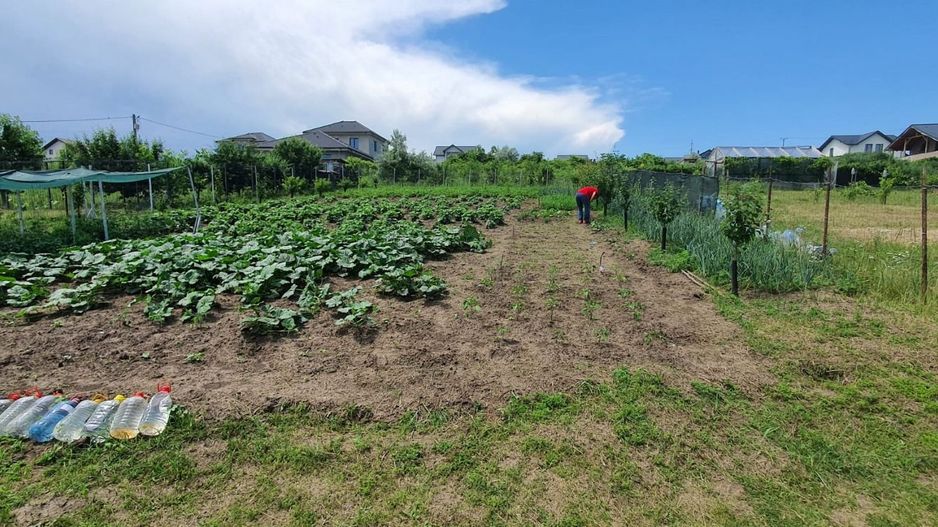 Teren INTRAVILAN 730 mp, zona FILATURII - Silver Mall; - Poză 1