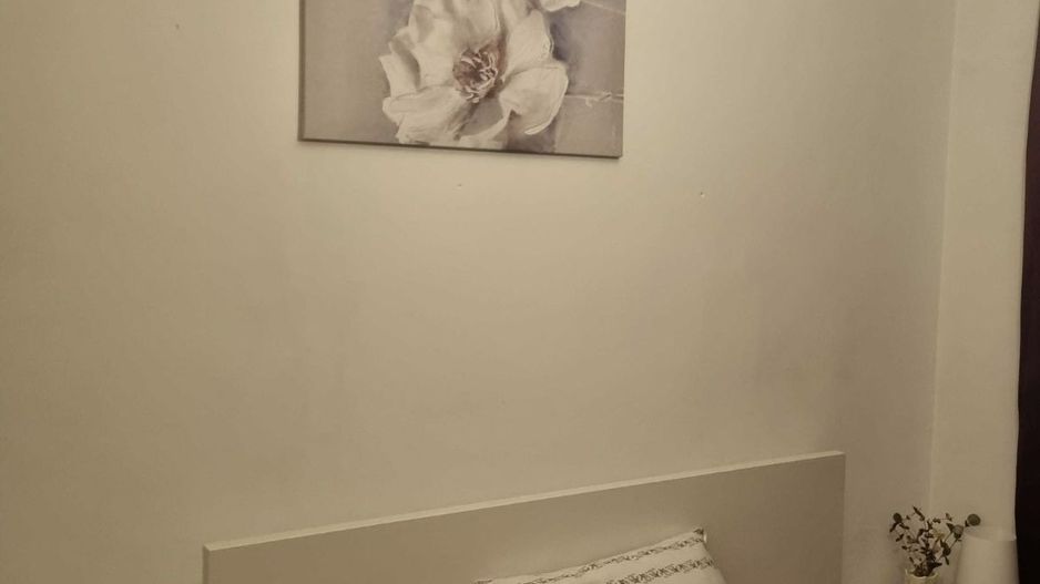 APARTAMENT 1 MAI | ION MIHALACHE | DOMENII - Poză 1