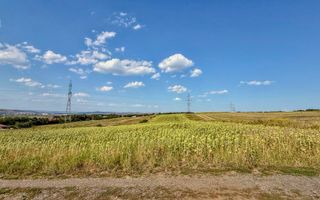 Oportunitate de investiție și dezvoltare – 11.600 mp | Jucu de Sus - Poză 5
