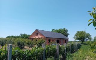 Vand/Schimb Livada Belint 16000mp - Poză 10
