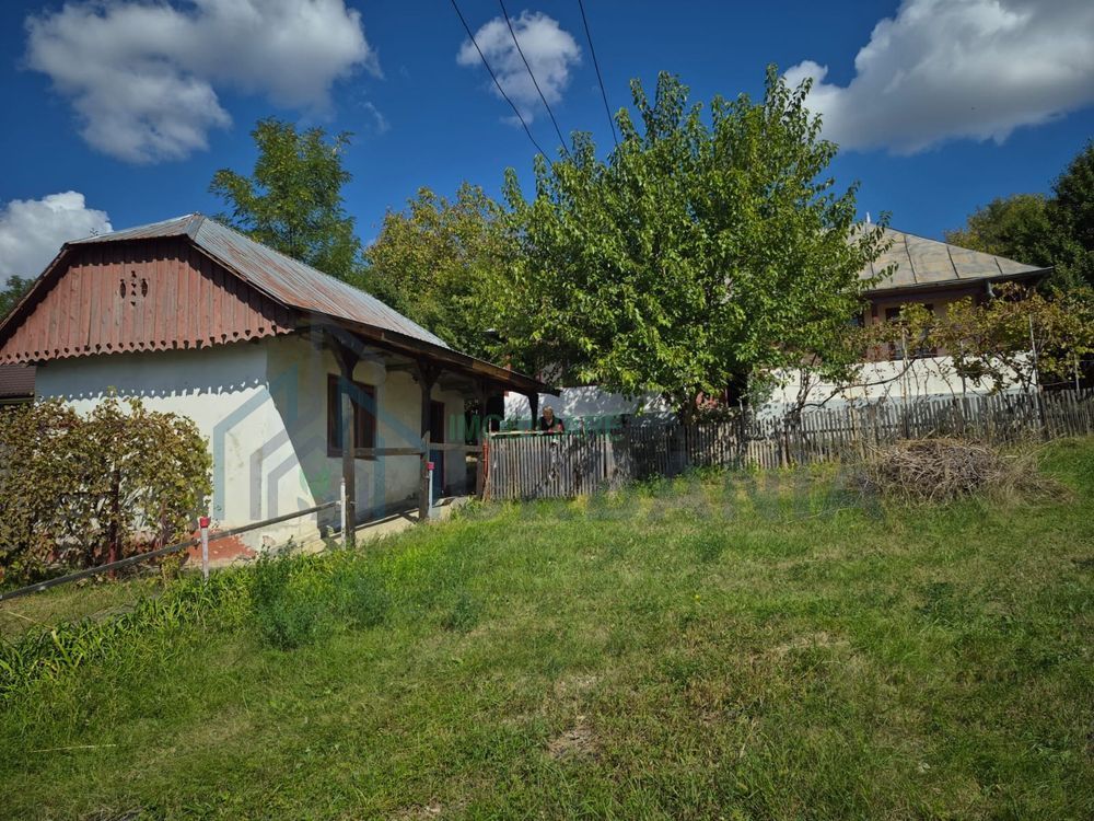 Casă cu anexe și teren de 25 de ari, Buznea, Târgu Frumos, Iași - Poză 1
