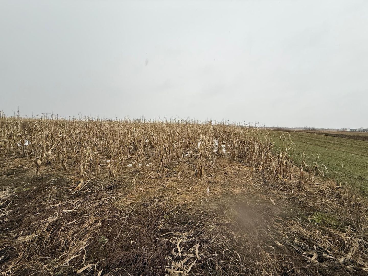 Teren extravilan | Gălănești | 7.276 mp | Front 29 m - Poză 2