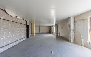 Chirie, spațiu industrial, 1.755 mp, str. Salcâmilor, Botanica - Poză 35