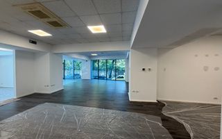 Spațiu comercial premium / Băneasa Offices / Parc Herăstrău - Poză 1