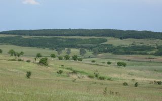 Teren extravilan de vânzare | Apoldu de Jos | 26.258 mp - Poză 5