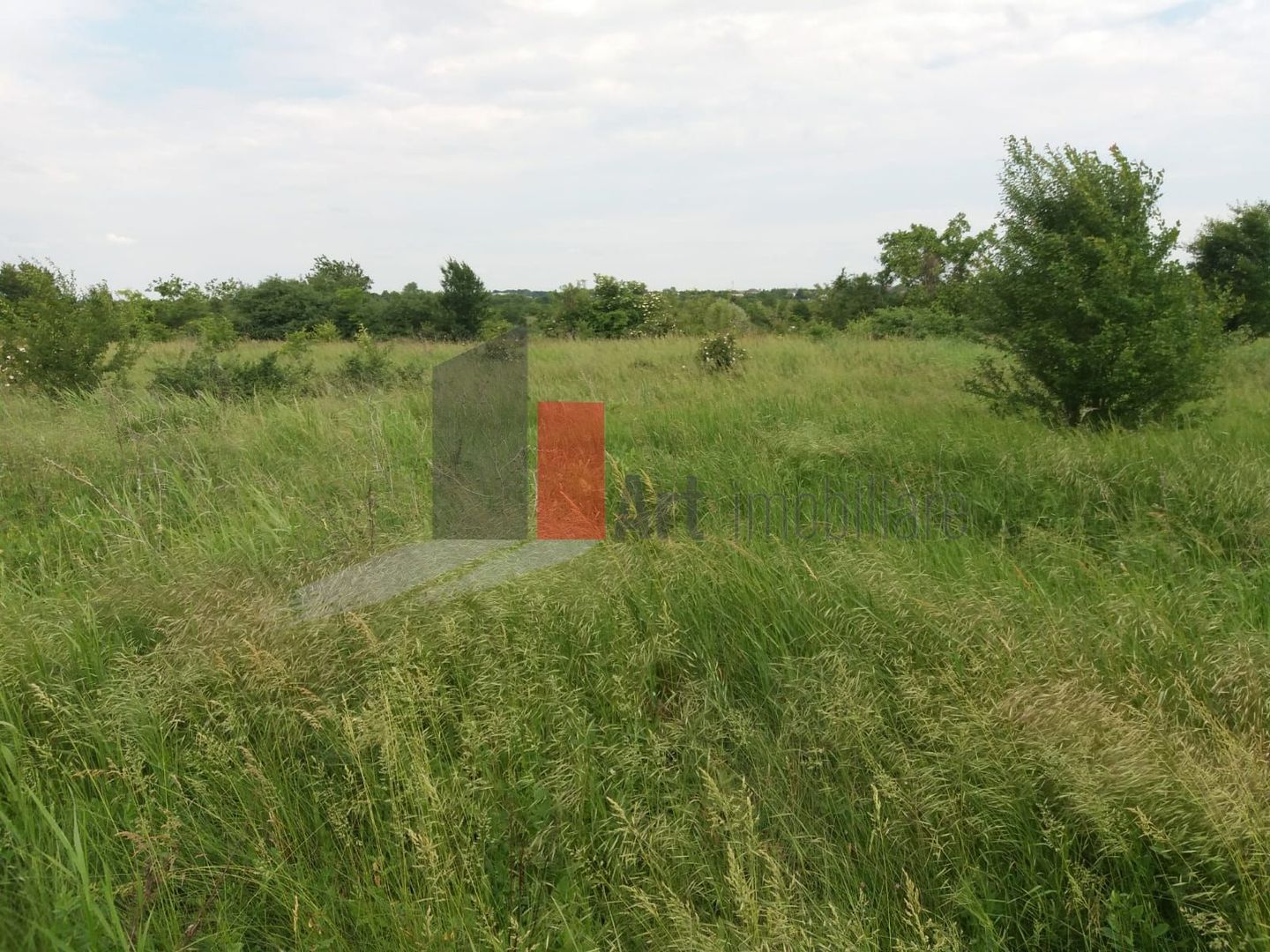 Teren Buftea cu iesire la lac - Poză 19