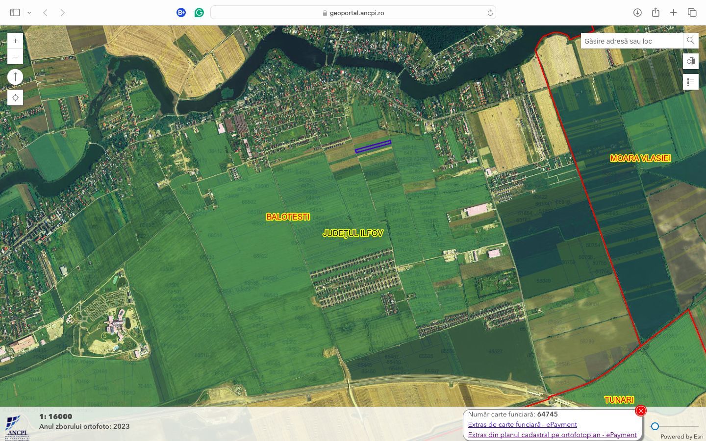 Teren intravilan cu destinatie rezidentiala 7.458 mp Balotesti - Poză 12