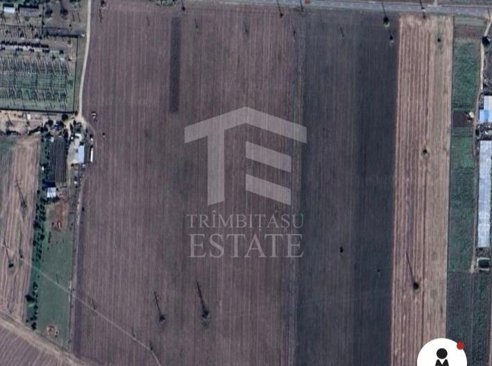 TEREN EXTRAVILAN 12.700 MP | DESCHIDERE LA DRUMUL MURFATLAR - Poză 2