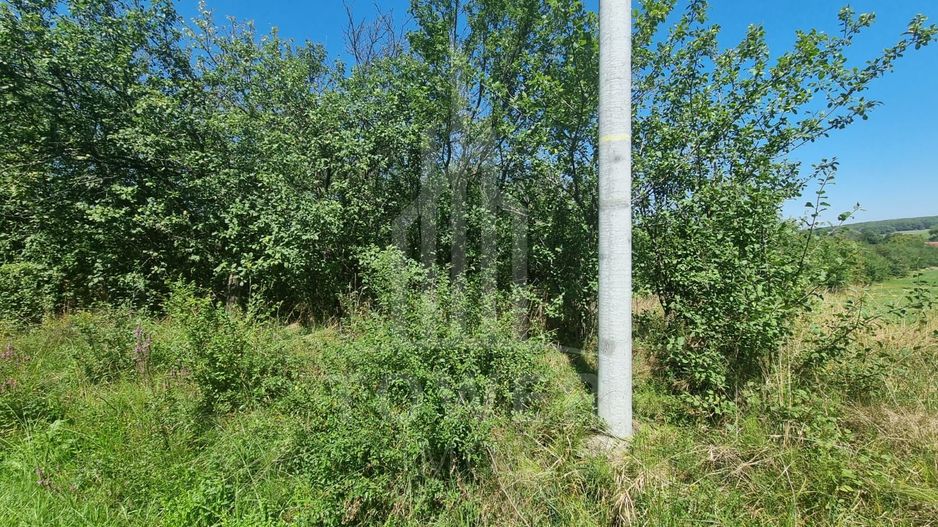 EXCLUSIVITATE! Teren la șoseaua principală | Tocile - Poză 5