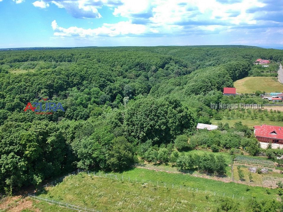 AZURA Imobiliare Pitesti - Casa de Vanzare Dealu Viilor - Poză 38