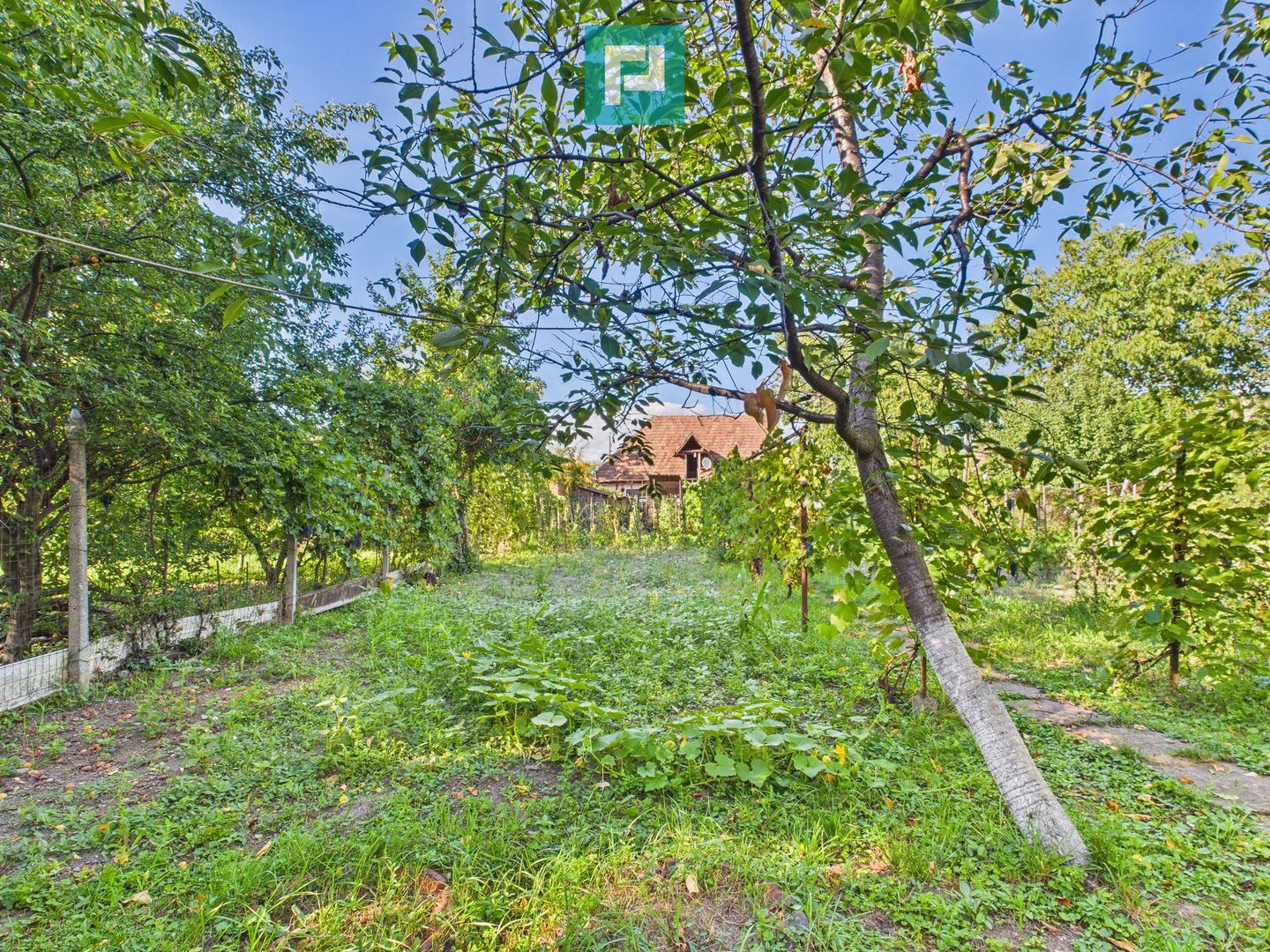 Casă cu 4 camere, curte și atelier mecanic - Sebeș - Poză 15