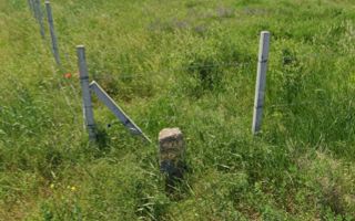 Holboca Iași 1100m.p. intravilan - Poză 2