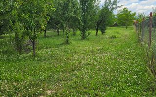 Casa Calimanesti | Teren 1700 mp | Centrala proprie - Poză 8