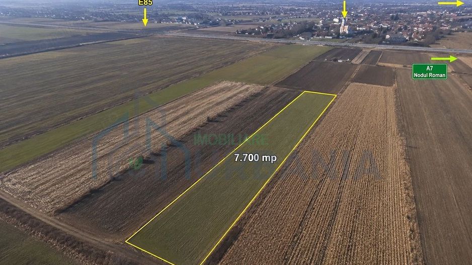 Teren agricol 7.700 mp, Iugani, lângă E85 și Nodul A7 Roman – investiție sau arendă - Poză 1