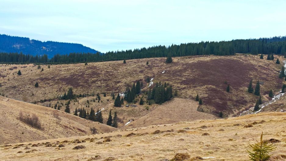 4663mp, in Statiunea Turistica Montana BELIS – FANTANELE, jud. Cluj - Poză 2