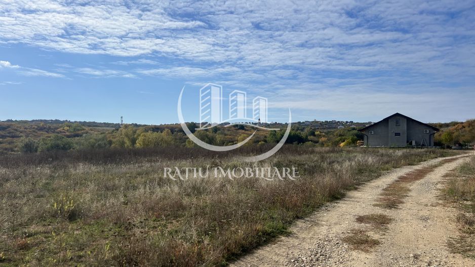 Teren intravilan 2500 MP | Paleu | Bihor - Poză 3