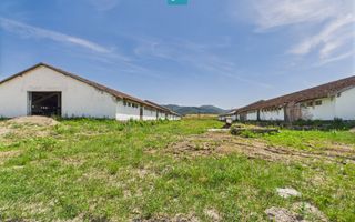 Hale 1800 mp fiecare – acces autostradă, Teiu, HD - Poză 21