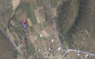 Tabăra/Orhei | 11,62 ari | Teren în inima Codrilor – Ideal pentru evadare în natură sau investiție - Poză 7
