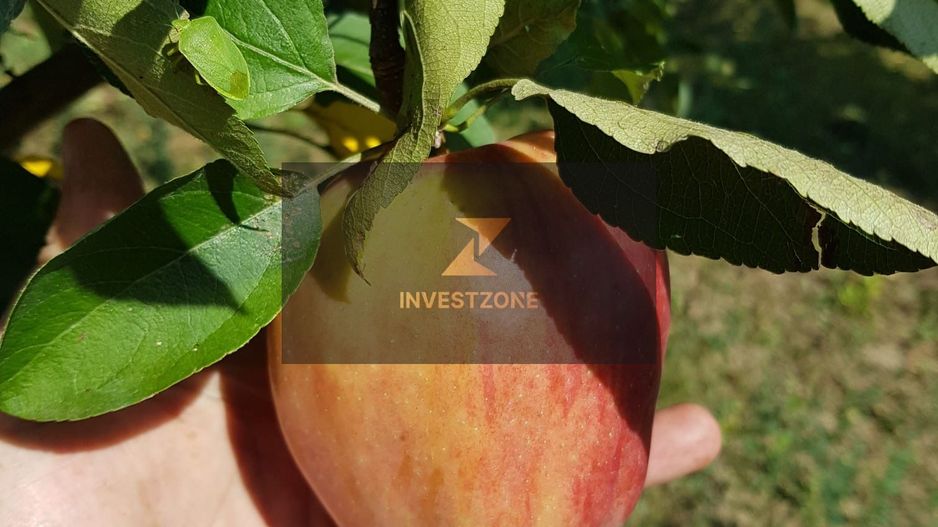 Teren cu utilități 2052 mp - Oradea - str. Făgetului - Poză 12