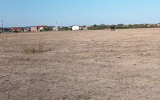 TEREN DE VANZARE IN CIHEI - Poză 3