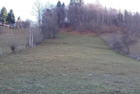 teren intravilan Moieciu de Jos Brasov - Poză 4