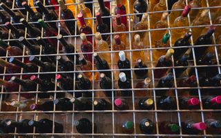 Vie Tradițională „Halta Lupilor” - Poză 22