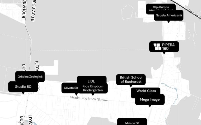 Pipera 180 - Poză 7