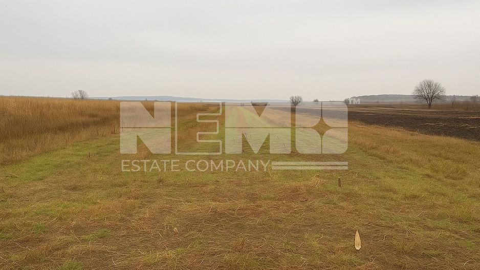 Teren agricol | de vânzare | 5000 mp² | comuna Satu Mare - Poză 6