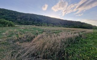 Teren pretabil cabana zona Poplaca  - Poză 3