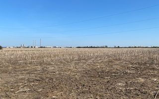 Teren agricol în Zona Sagului - Poză 8