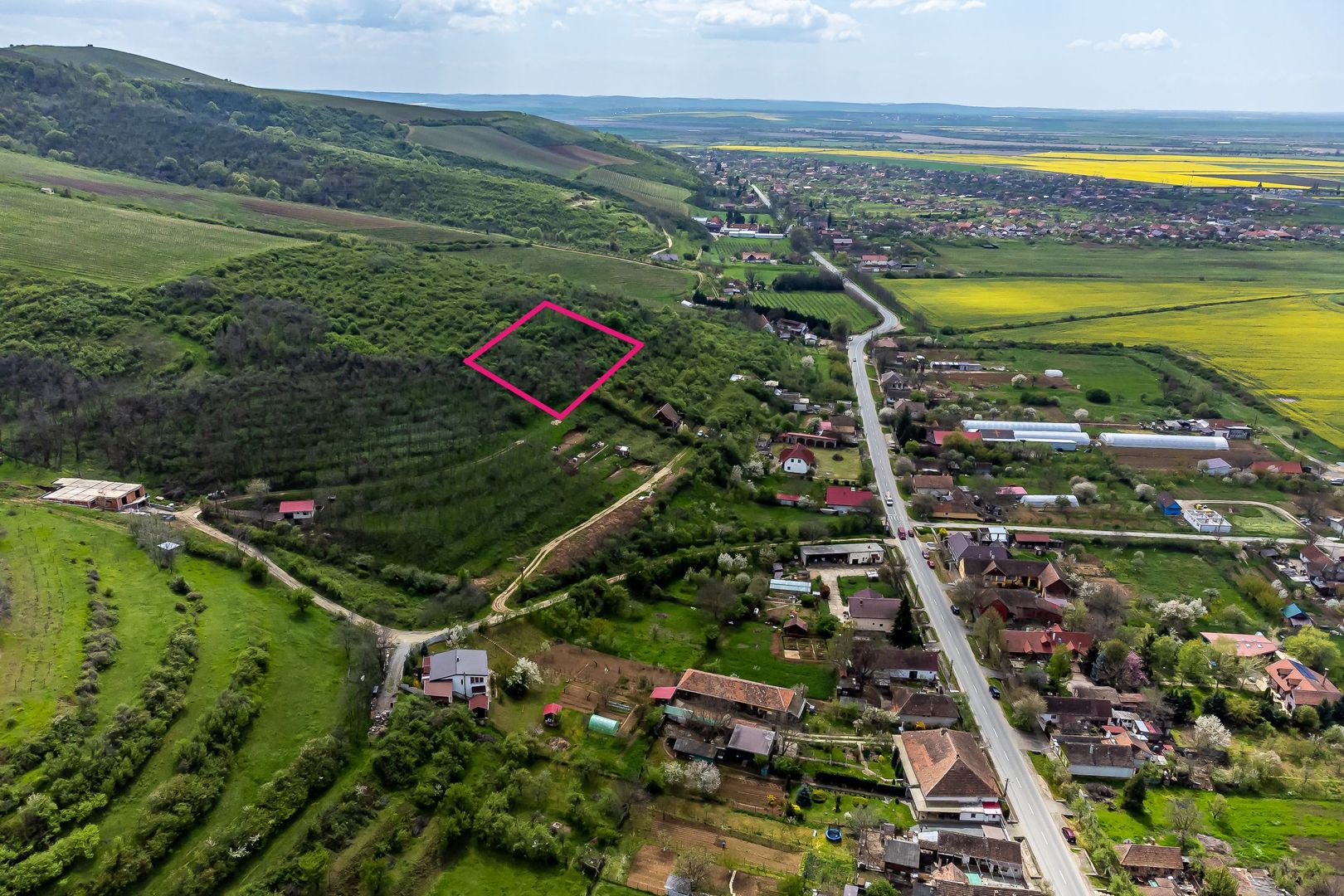 4.300 mp teren pe deal împădurit la Miniș - Poză 2