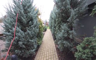 Casa pretabila birouri, camin de batrani - Poză 135