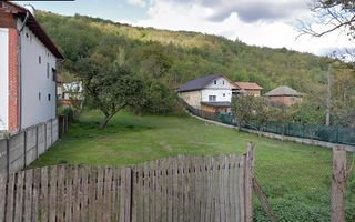 Teren Intravilan 10.000 mp | Livadă + Pădure de salcâm | Bărbătești - Poză 1