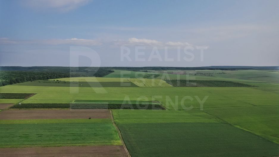 Vînzare, teren agricol, 25,3 ha, s. Peresecina, Orhei. - Poză 5