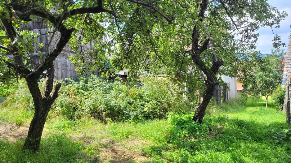 Sacele -Turches, gradina intre case, comision 0% - Poză 11