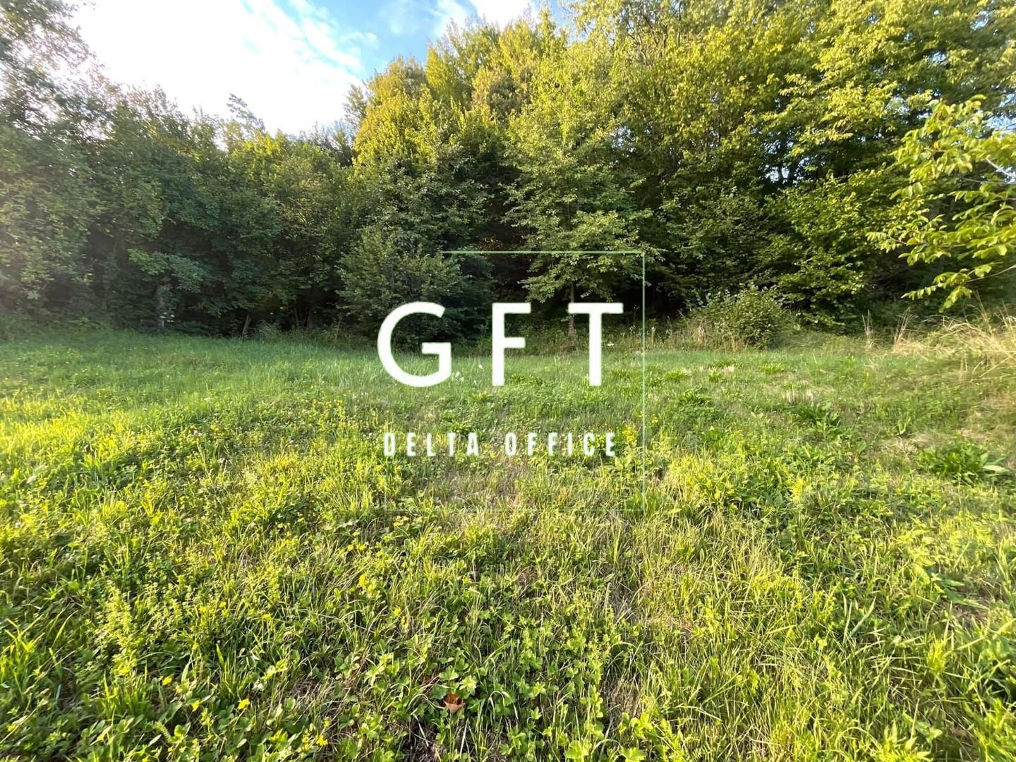 PARCELE TEREN INTRAVILAN 5-29.2 ARI - DOROLEA - Poză 7