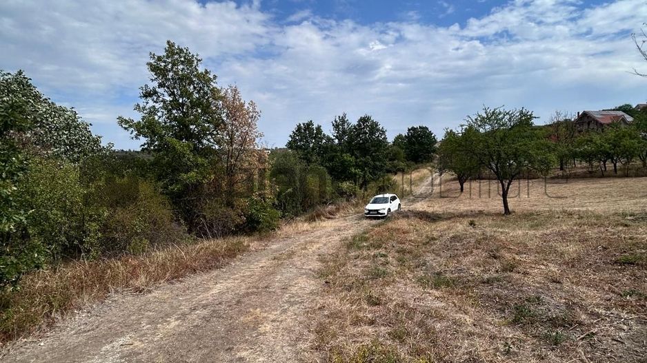 Sapient | Teren intravilan în Săldăbagiu de Munte 4.316 mp - Poză 3