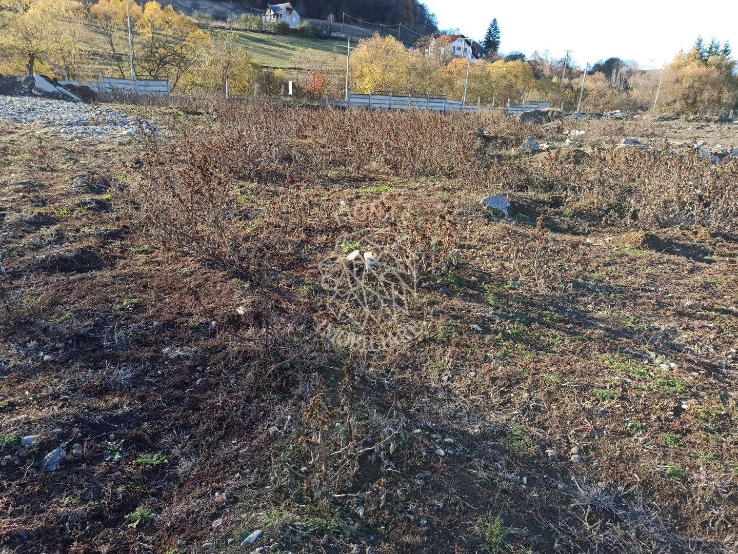 Teren intravilan 2,06 ha-parcelabil- investitie/hala-Zona Industriala - Poză 3