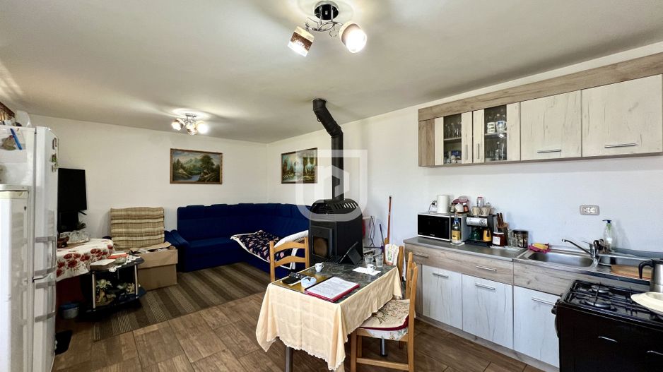 Ferma agricola, plantatii de mure, trandafiri, vita-de-vie - Poză 11