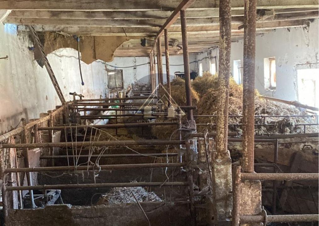 Fermă de vanzare - Poză 8