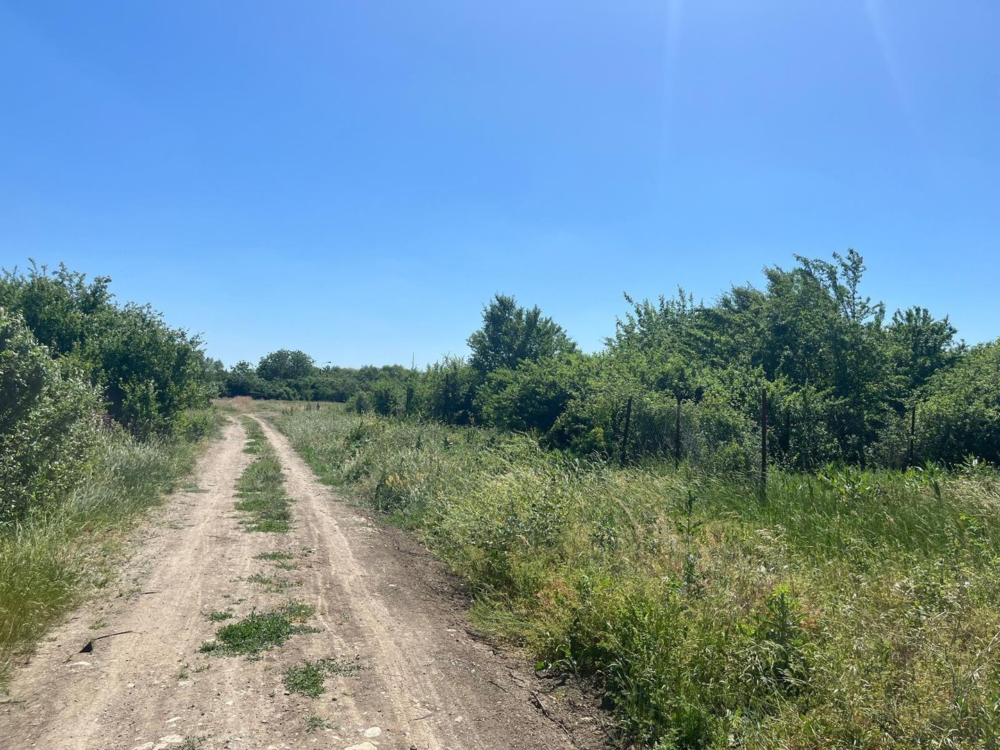 Teren intravilan 500mp | Kuncz, Timișoara | Oportunitate de Investiție - Poză 5