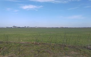 Cernica Tanganu super pret rezidential sau depozitare - Poză 3