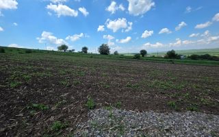 TEREN INTRAVILAN | SFÎNTU ILIE, SUCEAVA | 40.000 €/parcelă - Poză 3