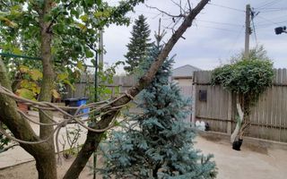 Gospodarie rustica, completa si accesibila în Cobadin - Poză 19