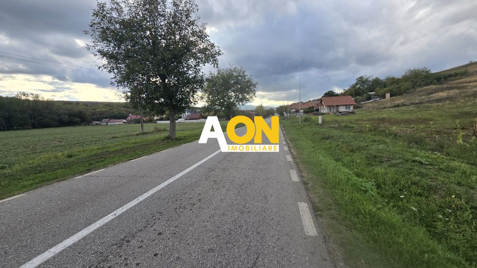 Teren Intravilan 5650mp Hapria, la Drum Principal - Poză 3