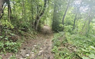 Teren intravilan de vânzare – 2.190 mp – Podu Vadului, Breaza - Poză 14