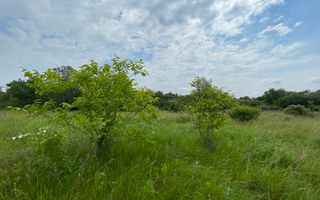 Teren intravilan***1439 mp***Cretesti-Vidra-Ilfov - Poză 23