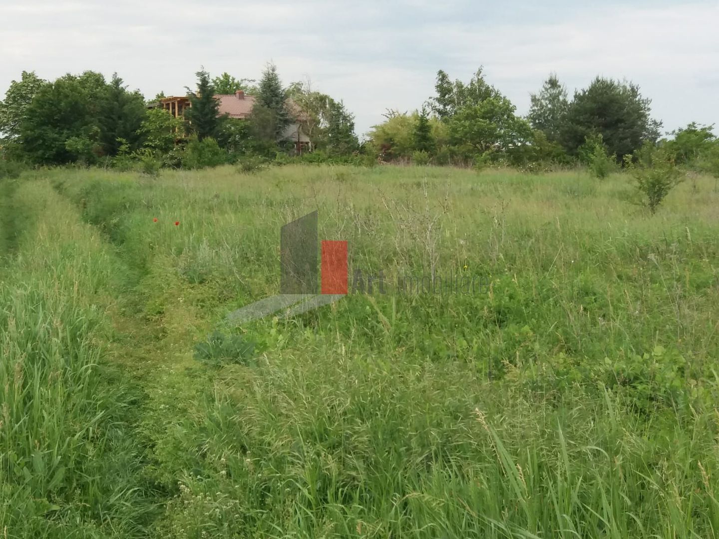 Teren Buftea cu iesire la lac - Poză 18