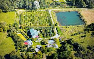 O proprietate de exceptie la Corbi, 18 ha, izvor, lac, pastravarie - Poză 2