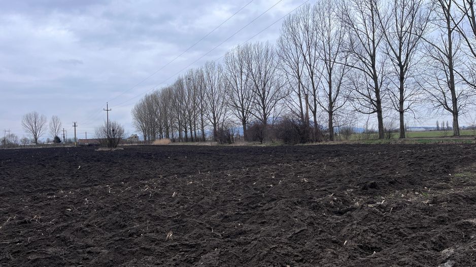 Teren 50000mp Extravilan-Intrare Halchiu-Cod 5235 - Poză 4